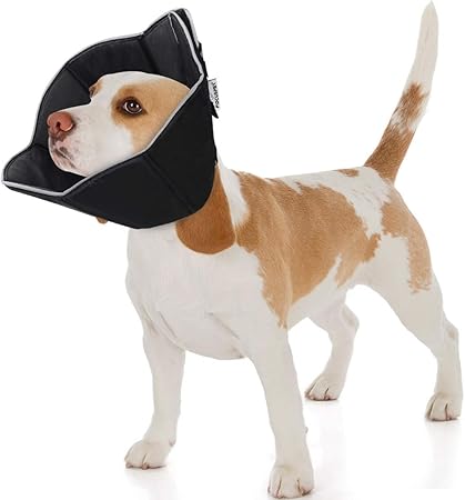 high protein food for betta fish