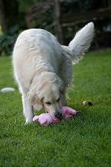 Petface Farmyard Buddies Crinkle Flat Pig Plush Dog Toy with Built-In Squeaker view 4