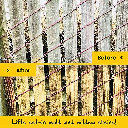 EcoClean Solutions Mold, Mildew & Algae Remover | No-Scrub Stain Remover |Instant Results for All Surfaces (4 Gallons)