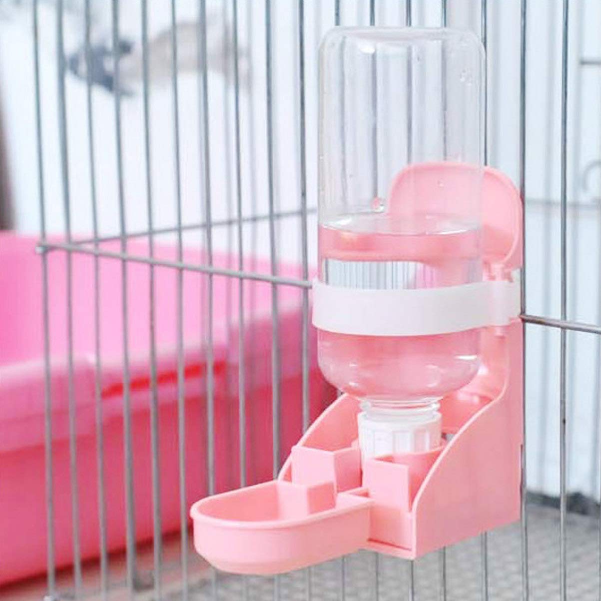 guinea pig self feeder