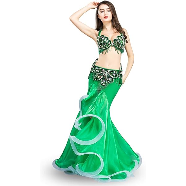 Amazon.com: Belly Dance Dress Belly Dance Costume Dancer Costumes