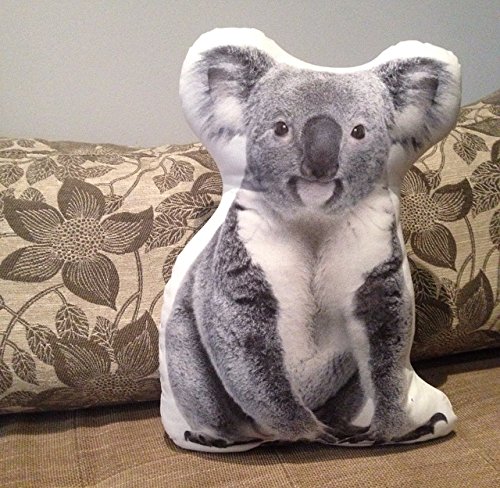 Cushion Co Koala Baby Bear Shaped Pillow Pet 16 X 12 Buy