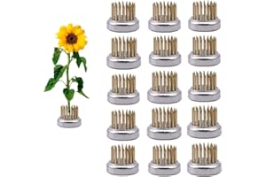 EGGONE Mini Kenzan Pin Frog 23mm/0.9inch Diameter Floral Ikebana Flower Arranger Holder for Small Vase (15Pcs)