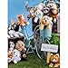 B. Boutique Springer Spaniel Wildlife Adventures 12 inch Stuffed Plush