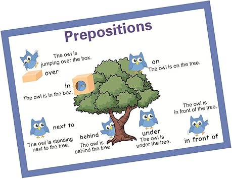 Amazon Com Santsun Educational Preschool Posters Educational
