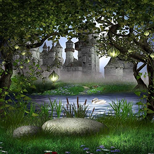 Outside Of The Castle 10' x 10' Digital Printed Photography Backdrop KA Series Background KA067