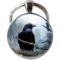 Amazon.com: JSJIANJIN Raven - Llavero de cristal de cuervo negro ...
