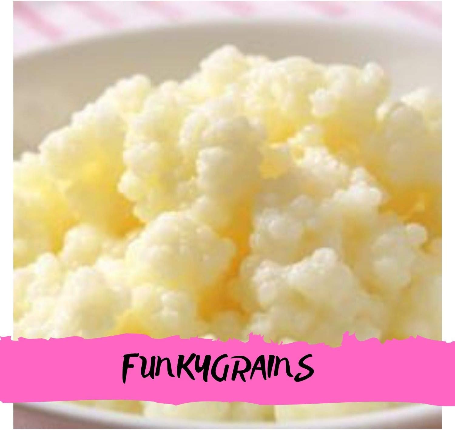 Live Organic Raw Milk kefir Grains- Make Your own Milk kefir at Home with Our Quick and Easy Grains, can be Used in Goats Milk and Coconut Milk by Funkygrains®… (to Brew 750ml)
