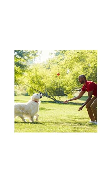 MILK-BONE® PUP-PERONI® MASHUPS™ DOG SNACKS