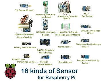 Amazon.com : 16 kinds of Sensor(Module) in 1 for Raspberry ...