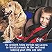 Dog Seat Cover – Pet Seat Cover - Dog Car Seat Cover – Waterproof, Scratchproof Seat Cover for Spotless Car – Premium Seat Hammock for Small and Large Dogs – Cars, Trucks SUVs