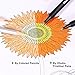 Ohuhu 36 Colors Fineliner Pens, 0.4mm Colored Fine Line Marker Marking Pen for Journal Book Sketch Drawing Fine Liner Coloring Book