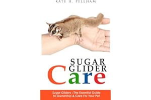 Sugar Gliders: The Essential Guide to Ownership & Care for Your Pet