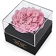 Fresh Cut Flower Preserved Peony for Women Mom Wife Girlfriend - Flower Gift Real Peony Decor for Mother's Day Valentine's Day Wedding Party Celebration Birthday Anniversary (Cherry Pink)