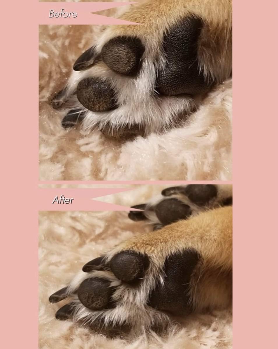 Amazon 肉球クリーム 獣医師推奨 天然成分 無添加 無香料 舐めても安全 国産 Joppy ジョッピー パウモイスチャライザー 30g Joppy お手入れ用品 通販