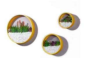 ZEETOON 3 Pack Set Modern Wall Planters with 3 Artificial Succulent Plants Succulent Planter Circle Metal Flower Pot Indoor Air Plant Vertical Container Hanging Vase Home Decoration Size S,M,L Yellow