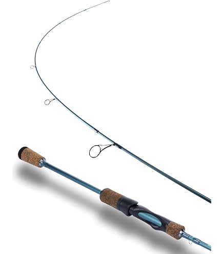 Amazon.com : DAIWA Area Trout Rod Iprimi 60XUL-4 Fishing Rod
