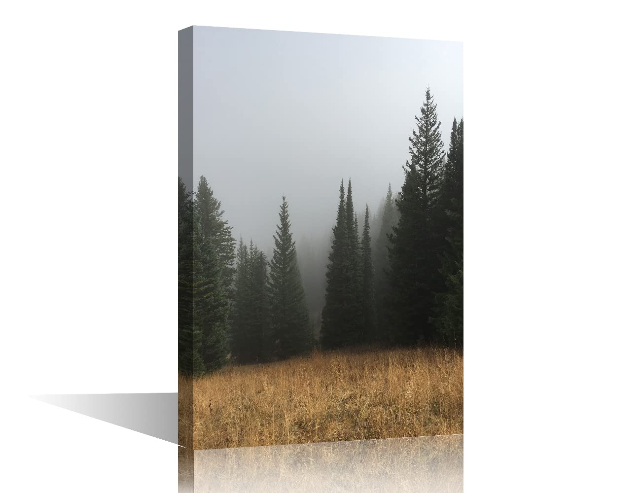 Forests Canvas Wall Art for Living Room Misty Forests Evergreen Coniferous Trees Landscape Print Pictures Stretched on Wood Framed Ready to Hang 8x12inch (20x30cm) — image 1