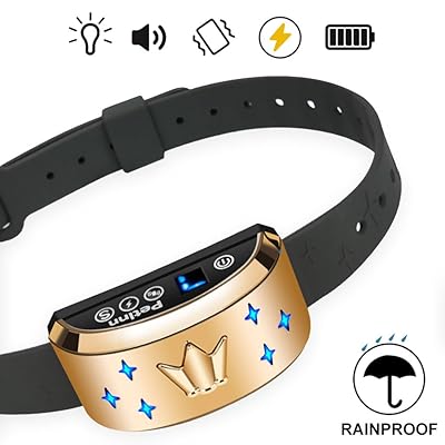 Bac à Litière Pour Chat De Type Ouvert Bac à Litière Pour