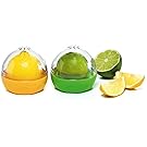 Progressive Lks-05cdp 3-1/3" X 3-1/3" X 3" Citrus Keeper