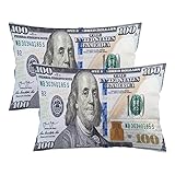 Money Throw Pillow Cover Queen Size Set of 2, 100