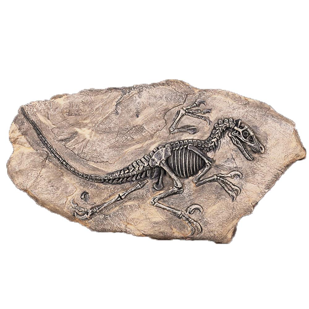 VOANZO Resin Dinosaur Fossil Statue Model Simulated Skeleton Home Office Display Decorative Craft Decoration