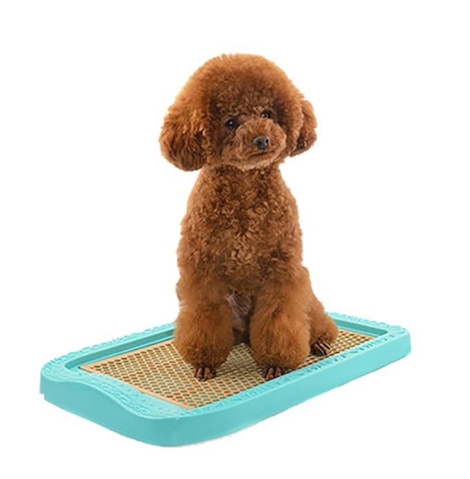 Bandejas higienicas para perros | Bandejas