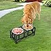 PawHut Elevated Double Stainless Steel Bowl Dog Feeder (14