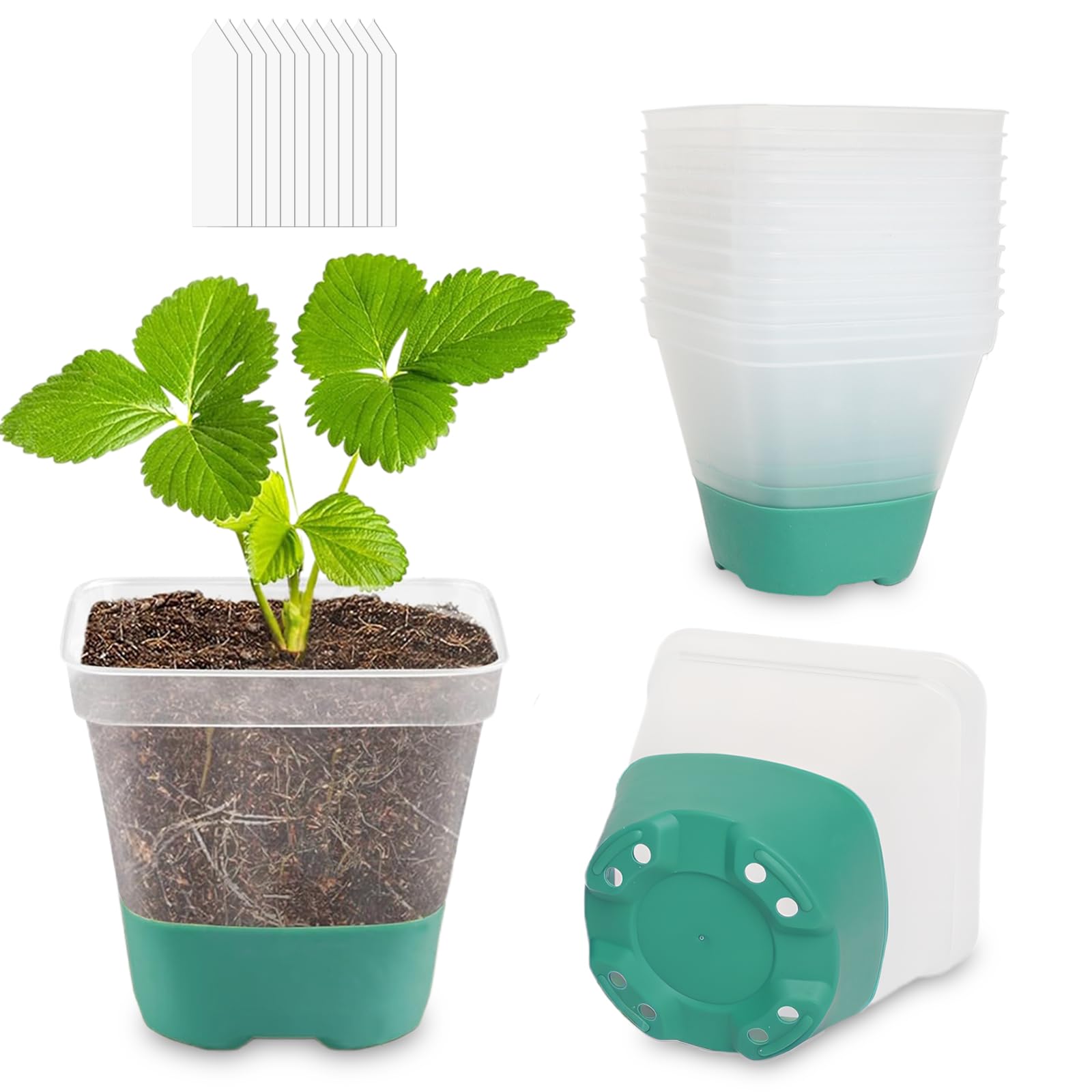 CNNIK Pack of 12 Propagation Pots with Silicone Base Flower Pot Plastic Square Seedlings Propagation Pots Planters for Plant Growing for Indoor Outdoor Use Green