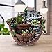 NUOLUX Micro Landscape Artificial Flowers Succulent Plants Pot Tiny Creative Flower Pot Holders Hanging Garden Design with Sweet House (Orange)