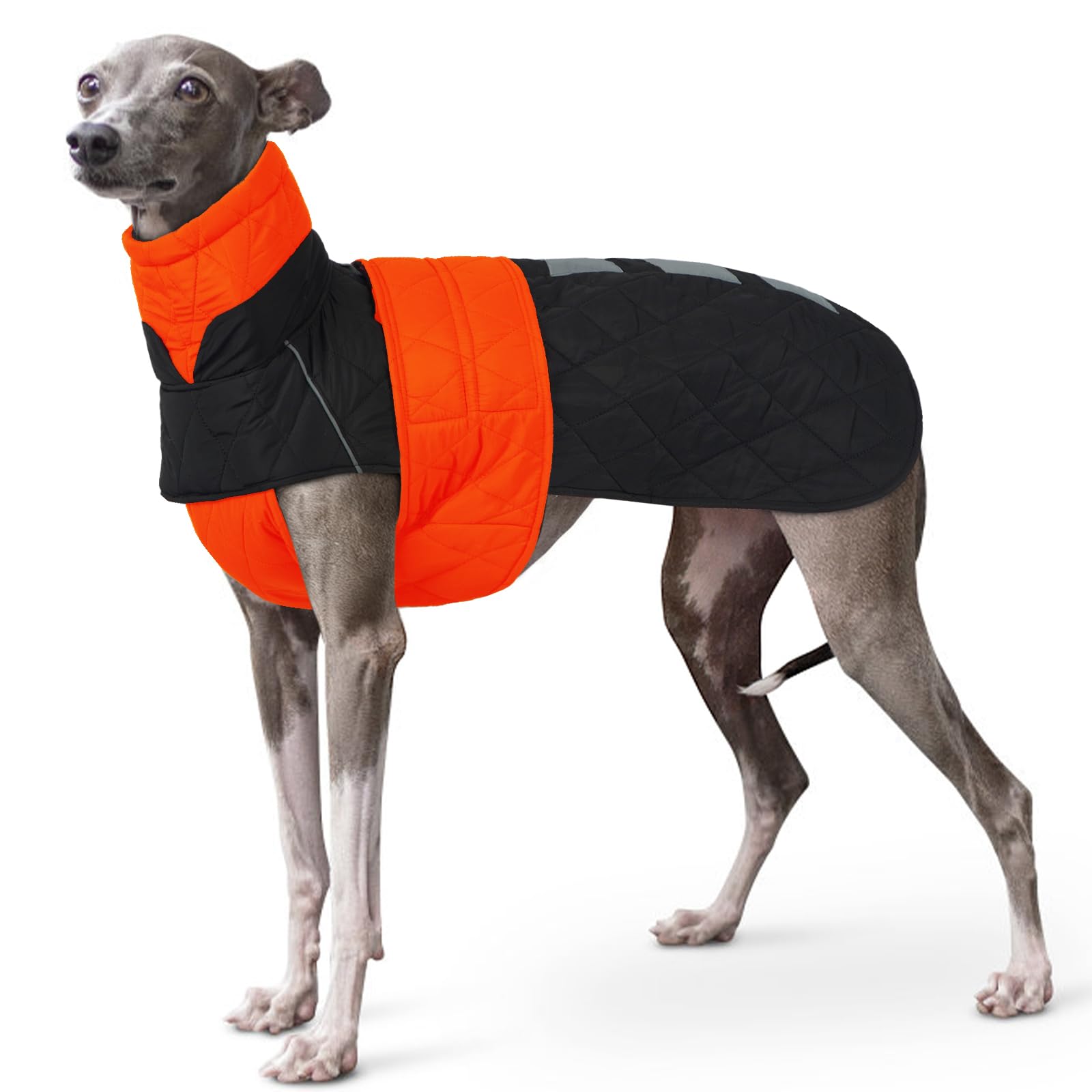 Whippet Jumper, Sighthound Coat Whippet Coat Water Resistant Winter Jacket Italian Greyhound Clothing Greyhound Fleece HouseCoat