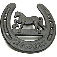 VoojoStore Horseshoe Welcome Wall Plaque - Unique Gift For Birthday Christmas Wedding Anniversary Engagement Graduation Couples Men Women Mom Dad Grandpa Sister Wife Husband Friends