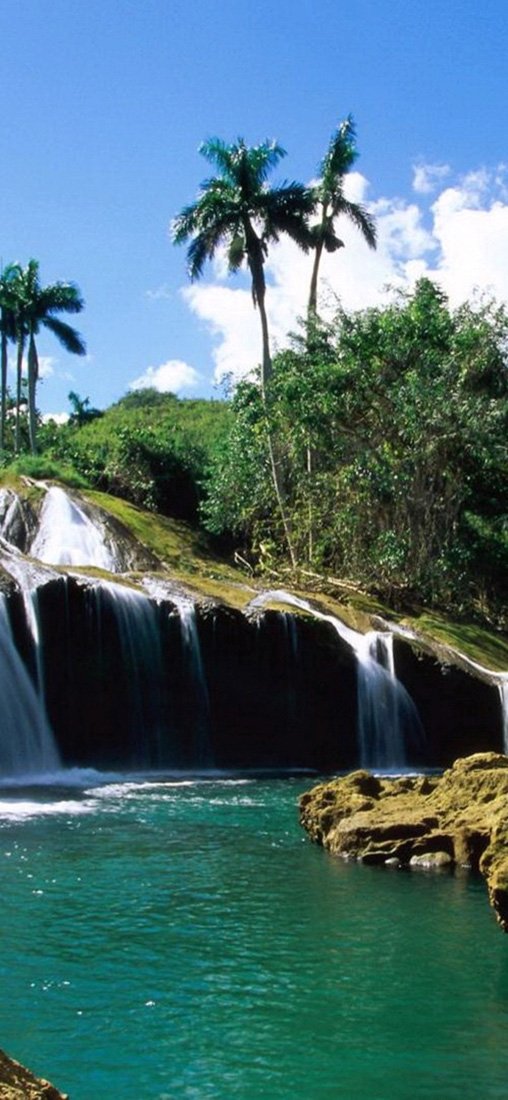 PeelitStickit, Beautiful Nature Wall Murals, ID-1081, vinyl