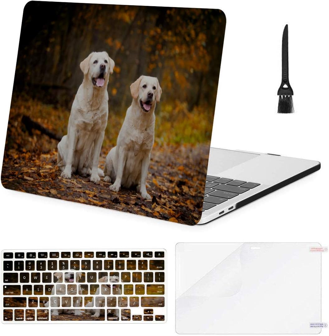 MacBook Air Case Labrador Dog Outdoors Autumn Suitable for Air 13"(Old Version & New 2017 Ver) Case，A1369/A1466