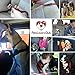 Dutchy Brand PetsLovers Durable Dog Seatbelt - Heavy Duty Strap, Reflective Lines, 2 Adjustable Sizes (15-25in or 22-37in)
