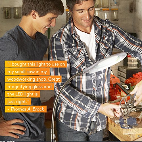 Brightech LightView Pro LED Magnifying Floor Lamp - Daylight Bright Full Spectrum Magnifier Lighted Glass Lens - Height Adjustable Gooseneck Standing Light - For Reading Task Craft Lighting - White