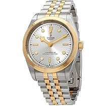 Amazon.com: Tudor Black Bay 41 S&G Automatic Chronometer Silver 