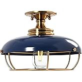 Robert Stevenson Lighting - Presley Caged Dome Metal Semi-Flush Mount Ceiling Light, Brushed Brass and Navy Blue