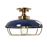 Robert Stevenson Lighting - Presley Caged Dome