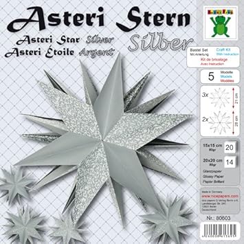 Asteri Stern Gold Weihnachten Fröbel Stern Basteln Advent