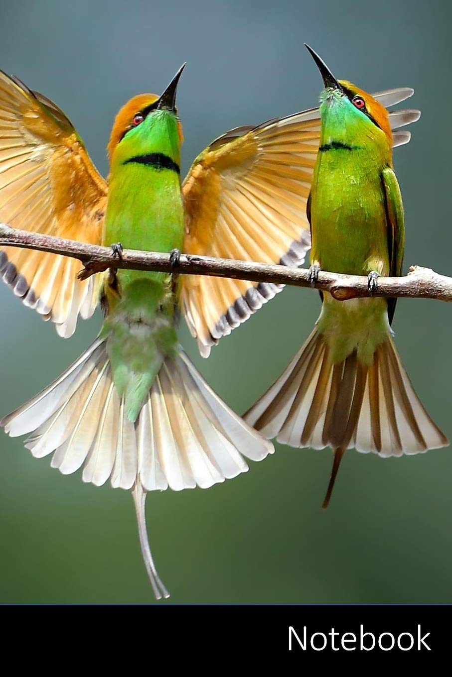 Amazon In Buy Notebook Bonjour Bebe Sank Fly Animaux Carnet Journal Livre D Ecriture Calepin Agenda Notes 6 X 9 Pouces 15 24 X 22 86 Cm 150 Pages Surface