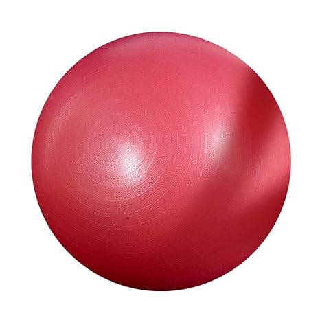 Amazon.com: 65cm Exercise Ball Yoga Ball Pilates Pregnancy ...