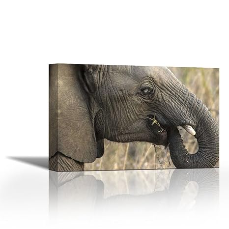 Karmakara South Africa Very Rare Blue Eyed Elephant Fine Art