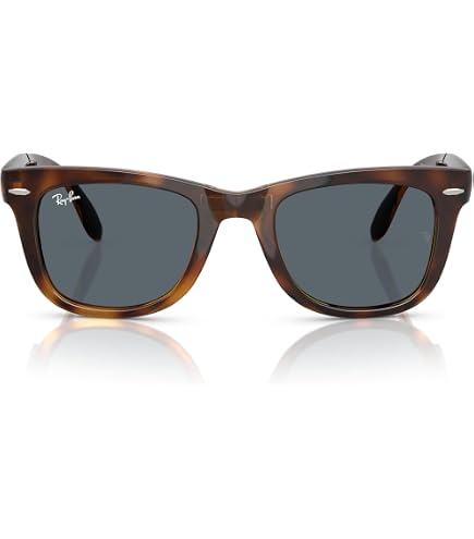 Amazon.com: Ray-Ban Men's Folding Wayfarer Sunglasses, Brown (710