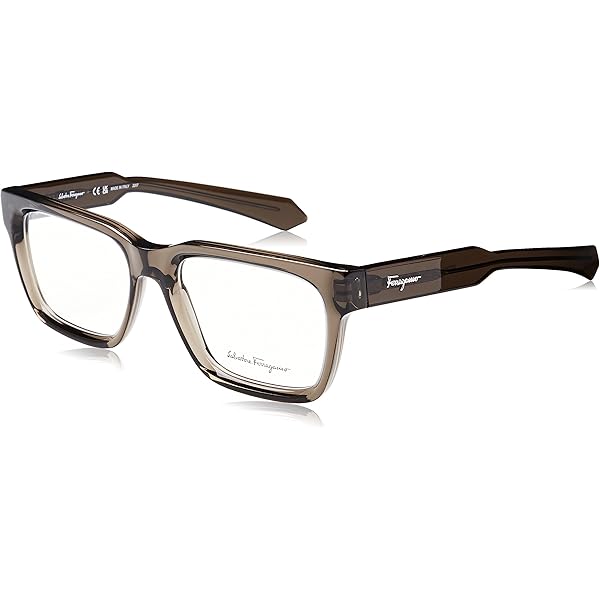 FERRAGAMO Eyeglasses SF 2938 220 Tortoise/Dark Green at