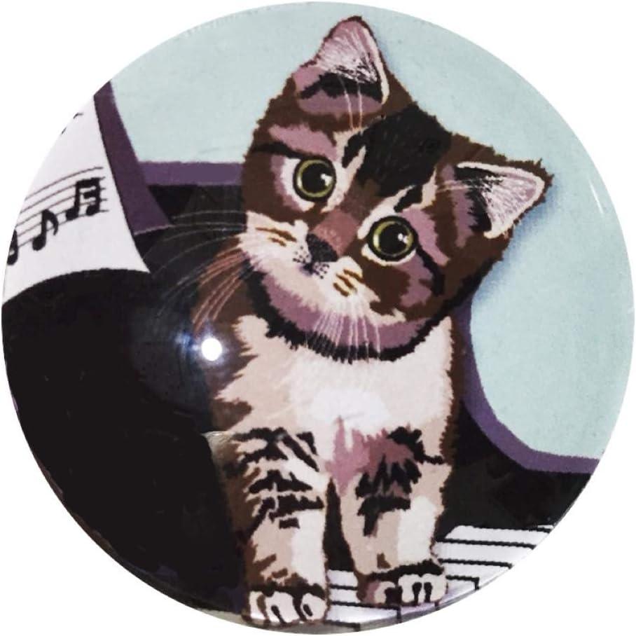 Amazon マグネット 猫 マグネット ピアノ Cat Piano 猫 イラスト Cat Magnet Le Bonbon ル ボンボン ホーム キッチン