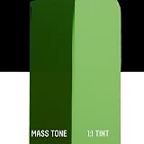 Liquitex Basics Hooker's Green Permanent Hue 118 ml Acrylic Paint view 4