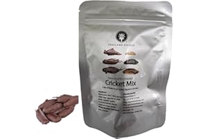 Thailand Unique Chocolate Covered Crickets - 15 Gram Bag of Dehydrated House, Field, and Jamaican Crickets for Humans, Nutritious Bugs Superfood Unusual, Weird Snack Gift