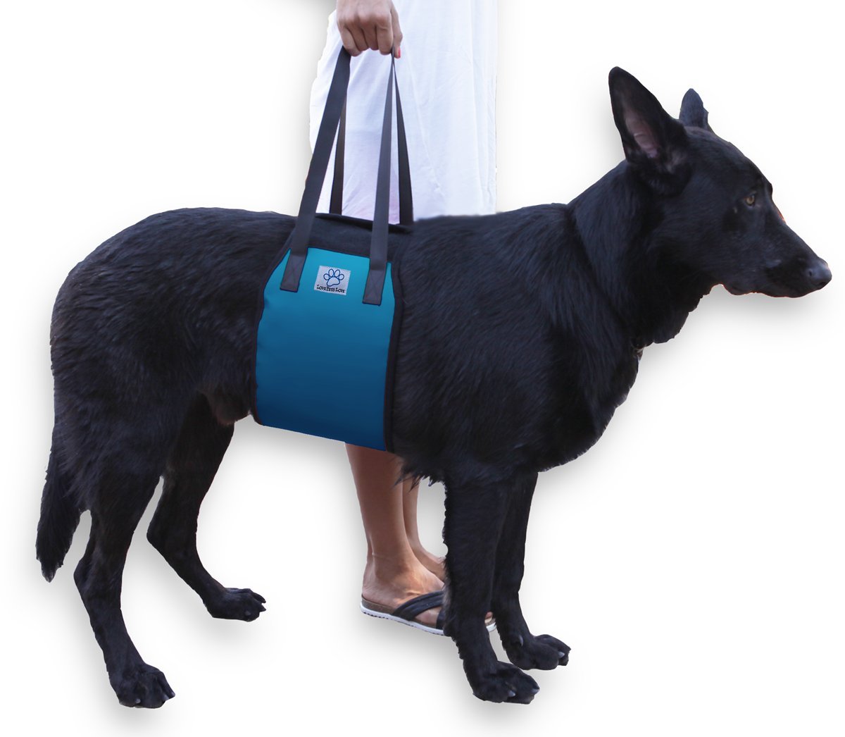 dog lifting sling
