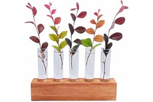 WASAIGGON Plant Propagation Stations Terrarium with Wooden Stand-Desktop Glass Bulb Plant Vase for Propagating Hydroponic Plants Home Garden Office Decor (Style 5)